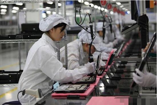 電子廠苦中作樂秘籍 上班養(yǎng)貓，快樂似神仙？